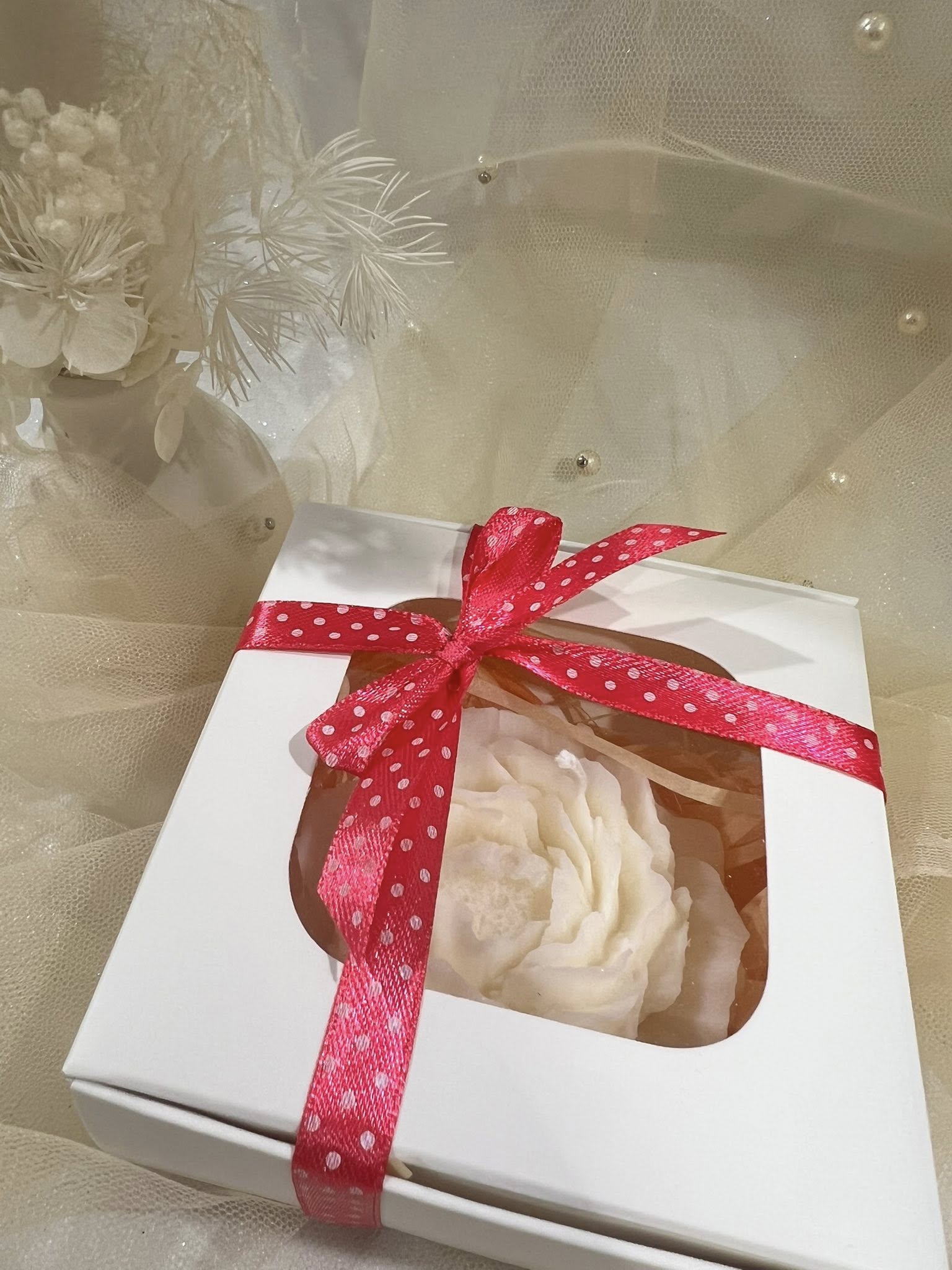 491970613_122109222380830101_552105623677366914_n