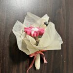 494759007_122114534816830101_6657136044956220470_n