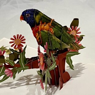 Messages in Bloom