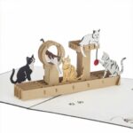 cat lover 3d greeting card