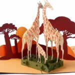 safari giraff zoo 3d pop up card